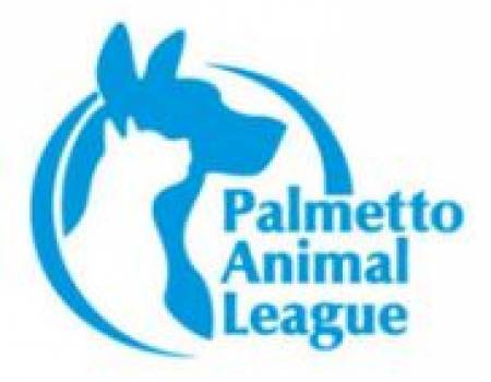 Animal Adoption Hilton Head